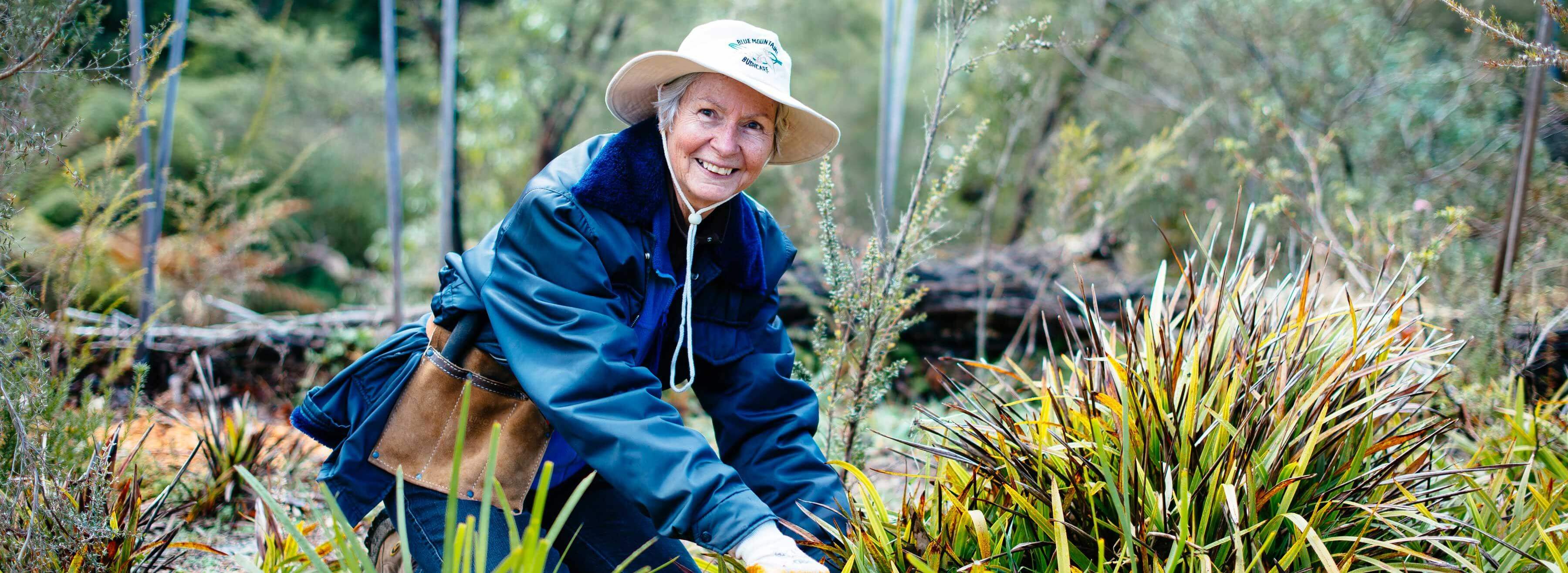 a Bushcare volunteer