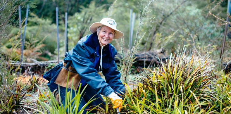 a Bushcare volunteer