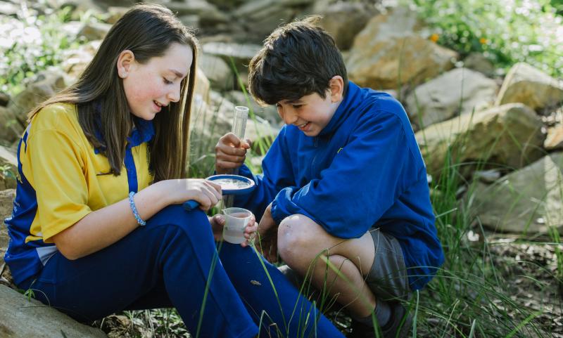 Child and teacher looking at bug that they have caught